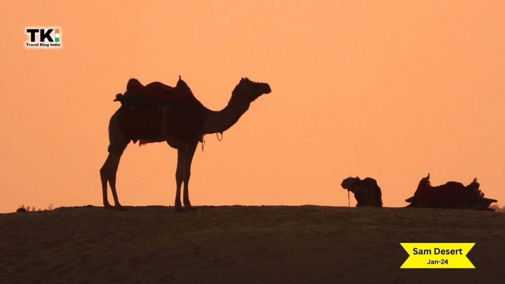 All About Jaisalmer Tour Package