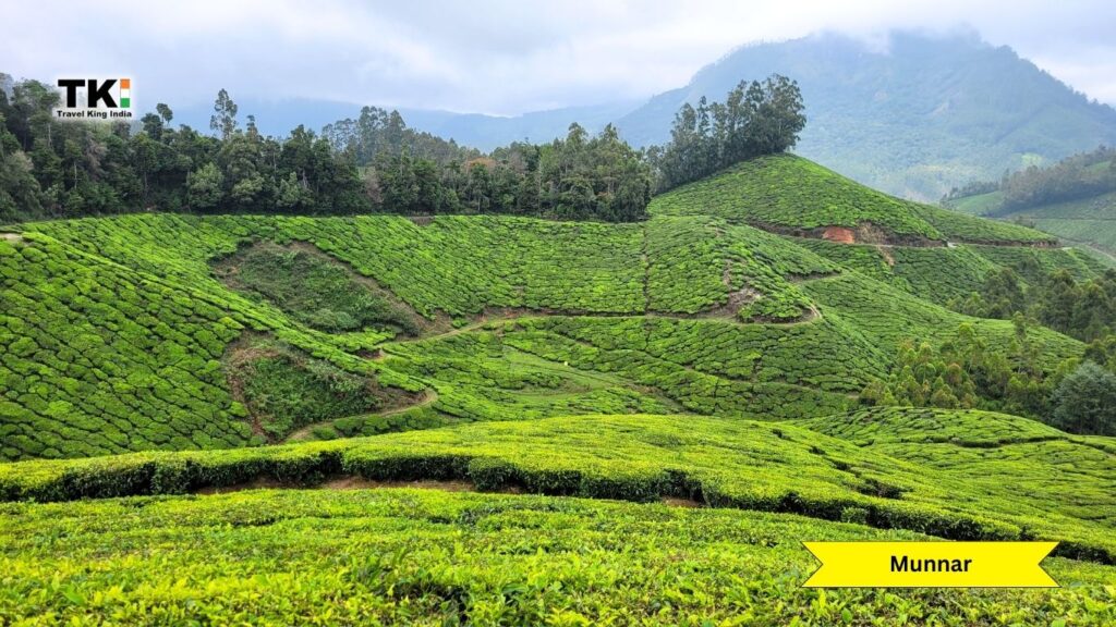 Munnar Best Tour Package