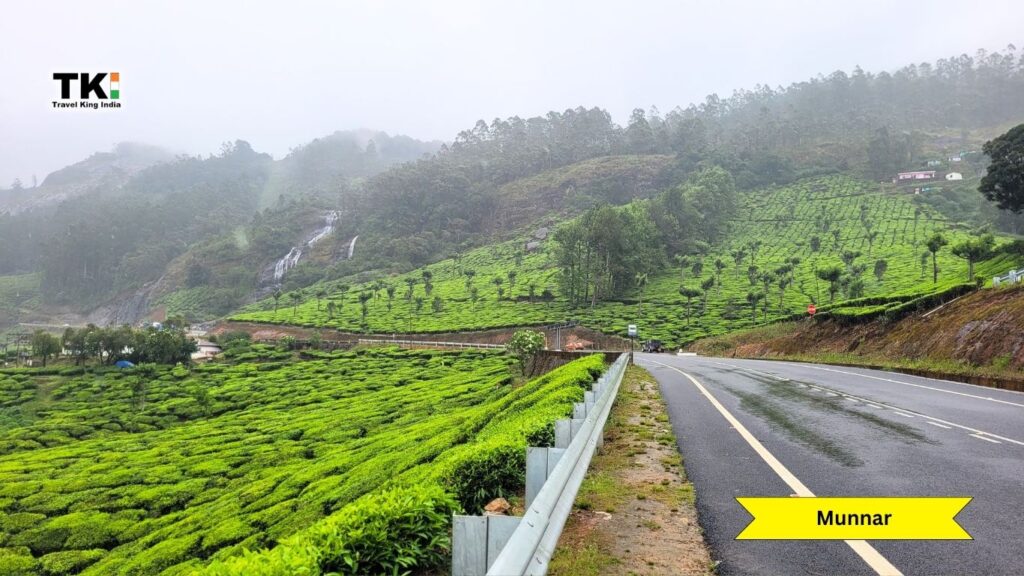 Munnar Tour Package